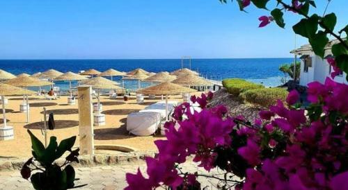 Apartamento Luci D?oriente Sharm
