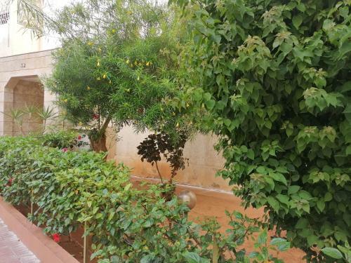 Apartamento Superbe Apprt Ghandi Maarif