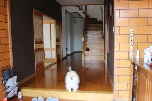 Hostal Guest House Mayuko No Yado - Vacation Stay 13220