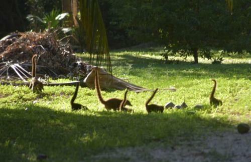 Lodge Villa Milagros