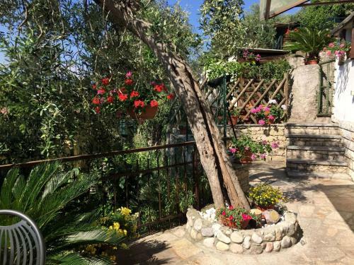 Apartment Franco Brenzone