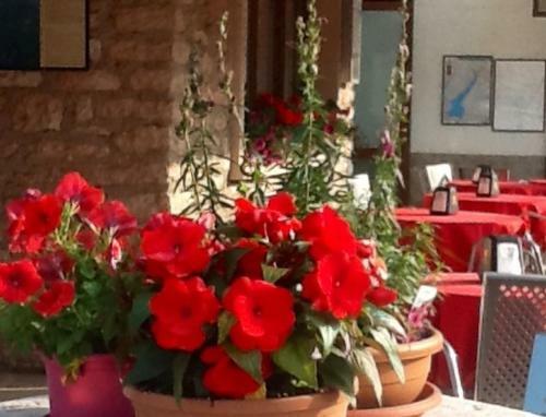 Hotel Albergo Centrale