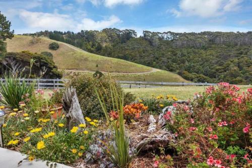 Hostal Tuiridge Tutukaka