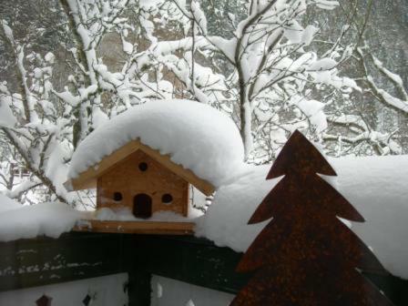 Apartamento Haus Badmunt