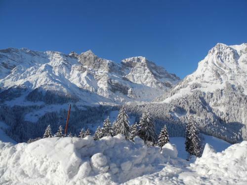 Posada Gasthaus Schwand