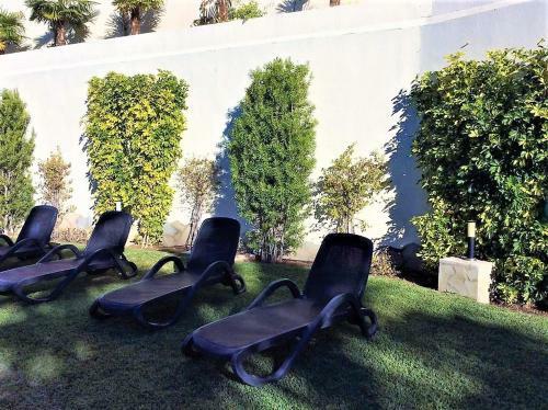 Altea Olivos G