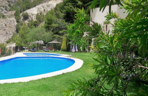 Altea Olivos G