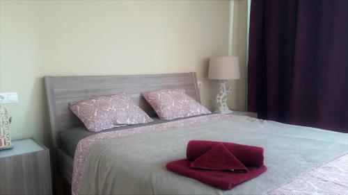 Altea Olivos G