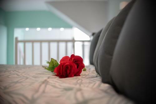 Apartamento John's Minimal Loft