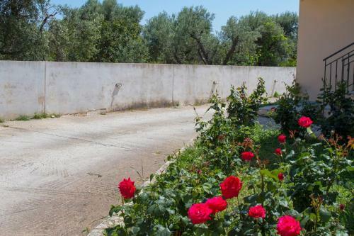 Apartamento New-olivaholidayhomes - Boho Studio Pool