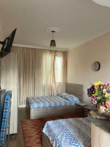 Hostal Elene