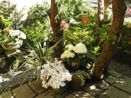 Bed & Breakfast Casa Ella