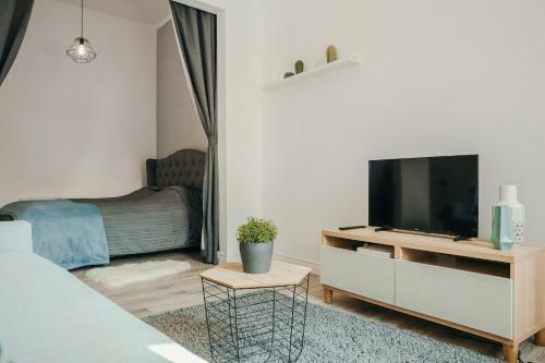 Bright Vilnius Old Town Apartment
