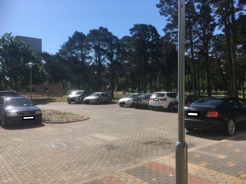 Pine Forest Apartments