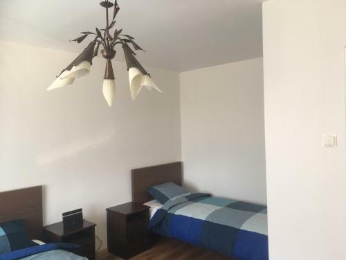 Pine Forest Apartments