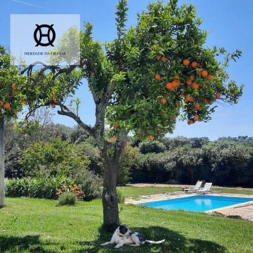 Agroturismo Herdade Da Ordem