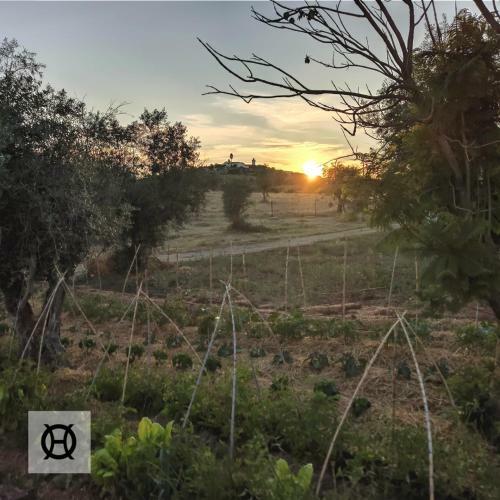 Agroturismo Herdade Da Ordem