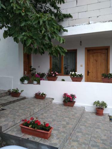 Casa Noastr?