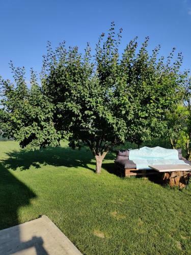Hostal Casa Vlad