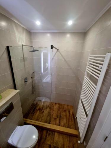 Rustic City Center Apartment