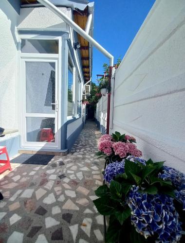 Casa Ioan