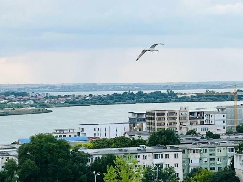 Apartamento Marina Seaview