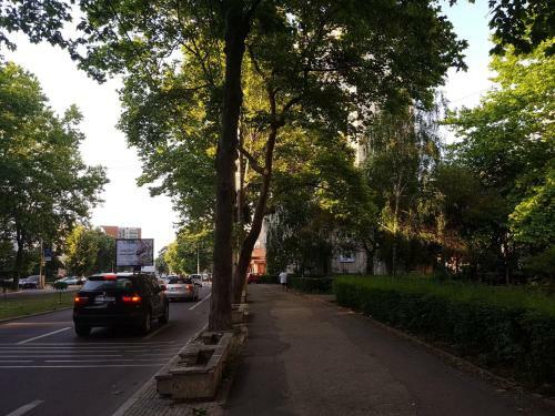 Apartament Trandafirul