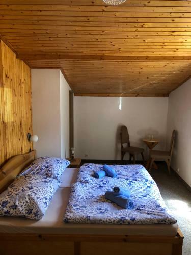 Hostal Penzi�n ?afran