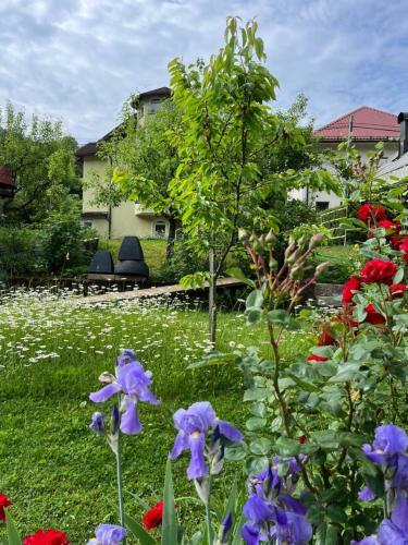 Apartamento Riverside Villa Avo