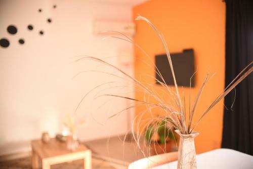 Apartamento Nice Alem