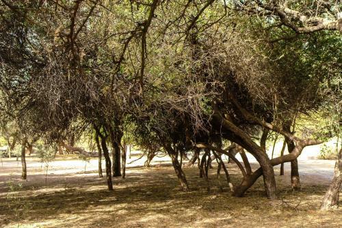 Apartamento Algarroba - Hospedaje