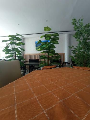 Hotel Castiya