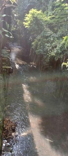 Pondok Kali Oedal