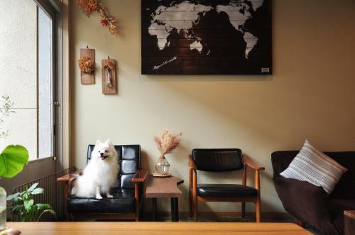 Hostal Suzuki Guesthouse
