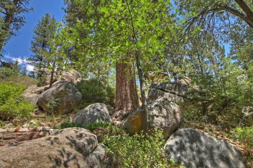 The Historic 1932 Lodge At Big Bear Lake