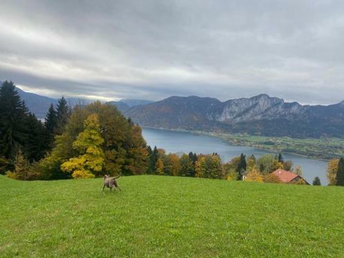 Chalet Kultique