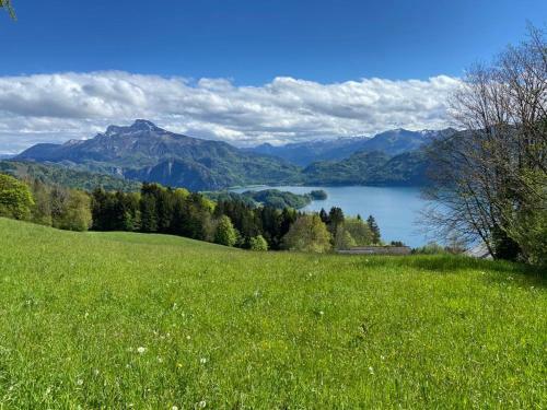 Chalet Kultique