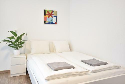Super Central Apartment With Awesome Mountain View