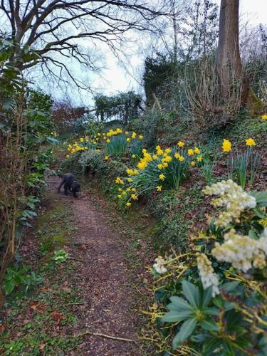 The Annexe @granny?s Apple Lodge
