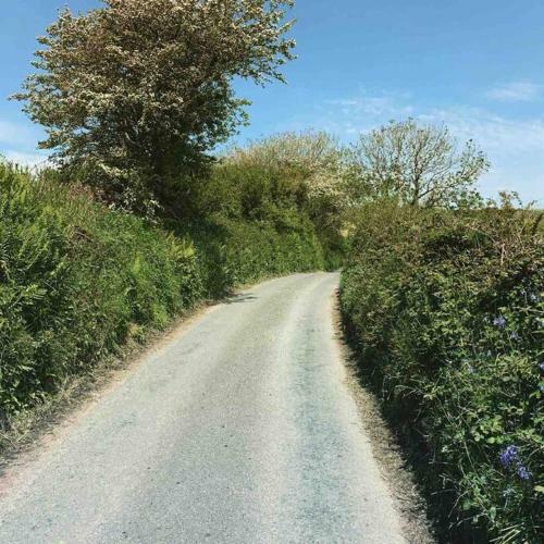 Trewithian Farm Cottage