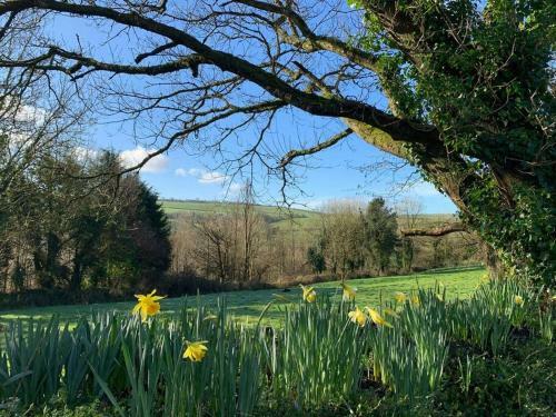 Trewithian Farm Cottage