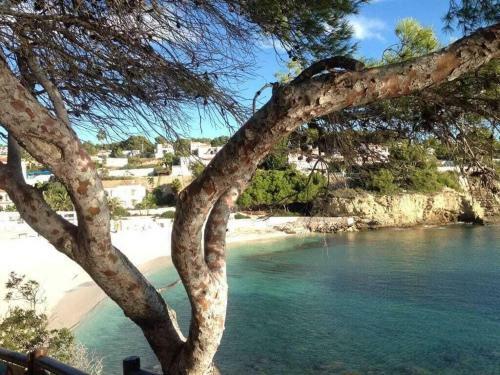 Villa Casa Atrapasue�os