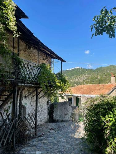 Apartamento Rodanthi's Guesthouse