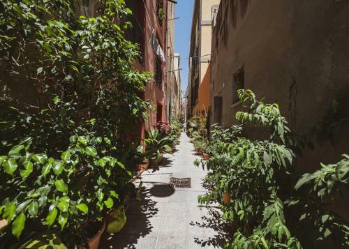 Appartamento Agave - Quartiere Castello