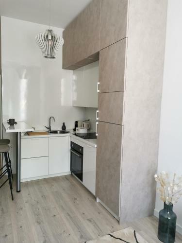 Apartment Indigo
