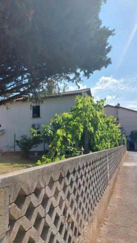 Apartamento Daria