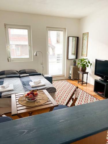 Panda Apartment