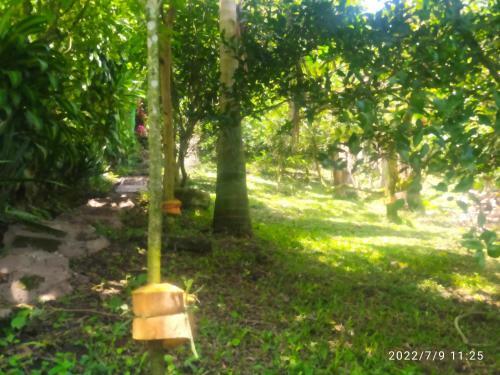 Alojamiento Rural En Combia