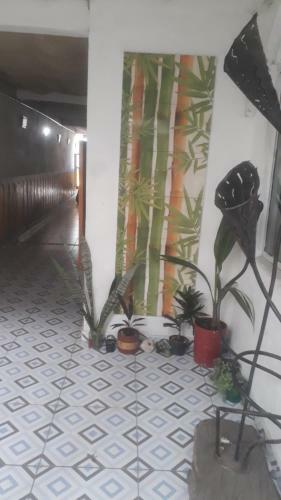 Hostal Los Tres Leones