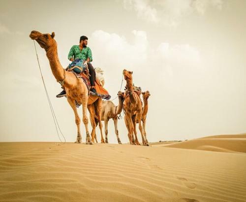 Moon Hostel Jaisalmer